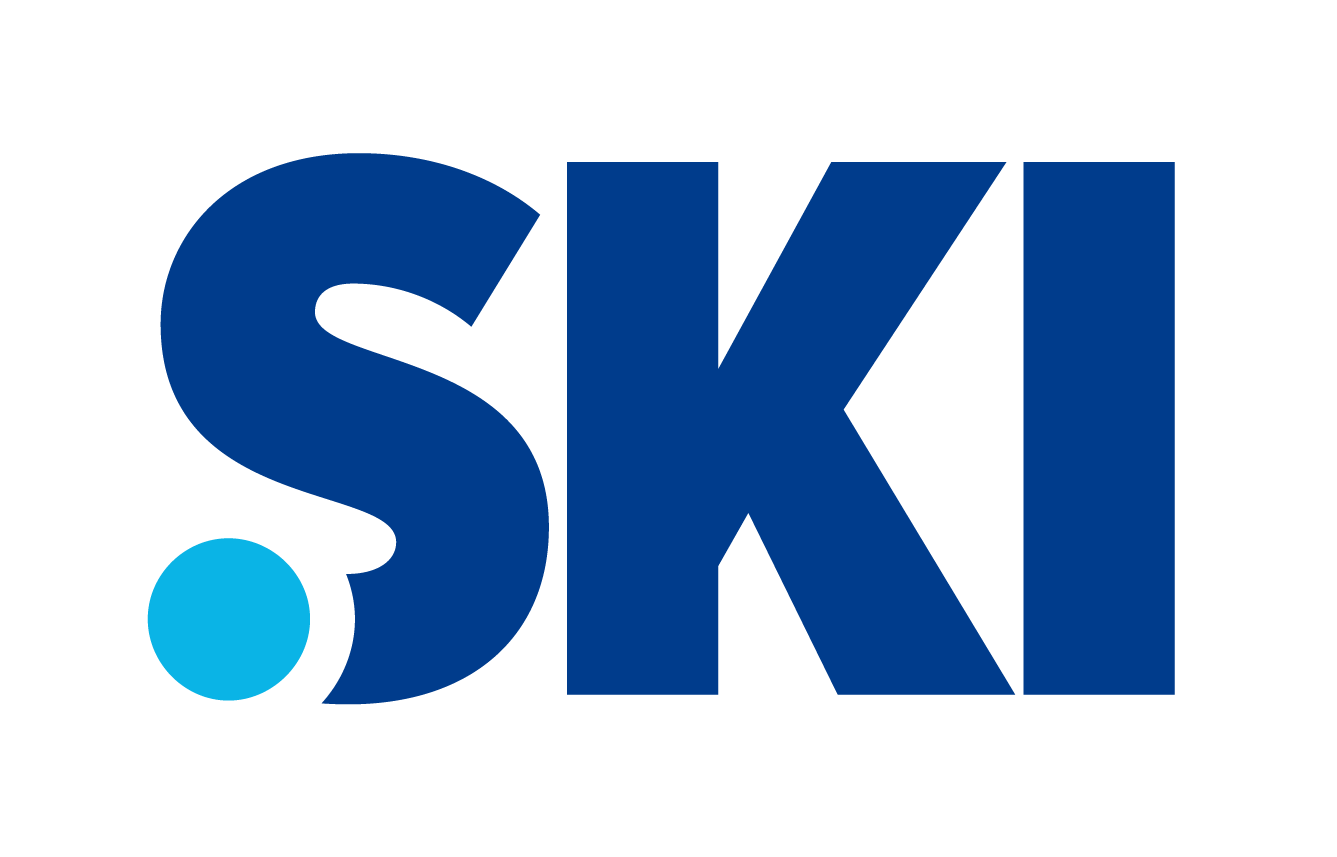 .SKI TLD logo
